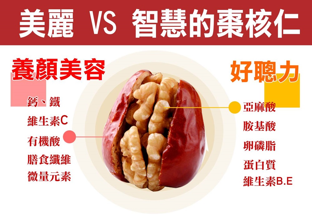 美麗 VS 智慧的棗核仁