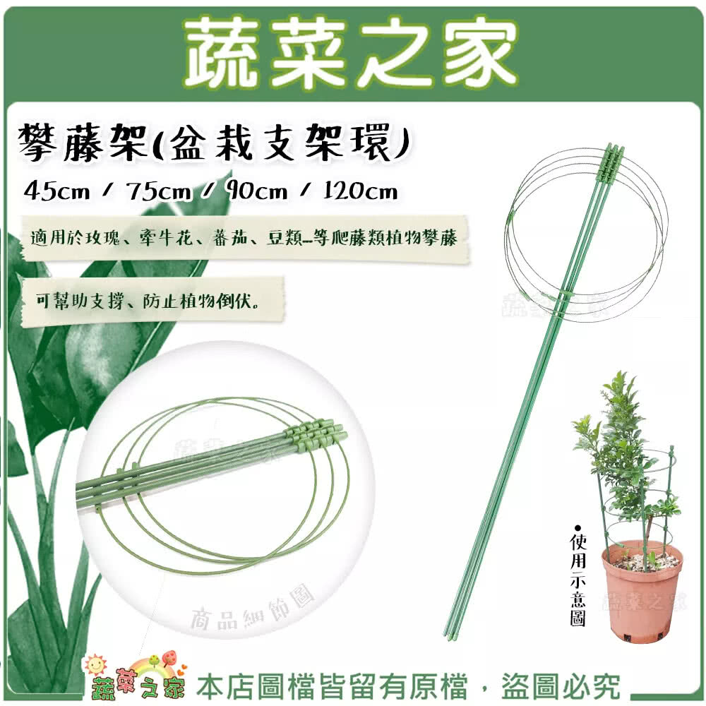 適用於玫瑰、牽牛花、蕃茄、豆類等爬藤類植物攀藤