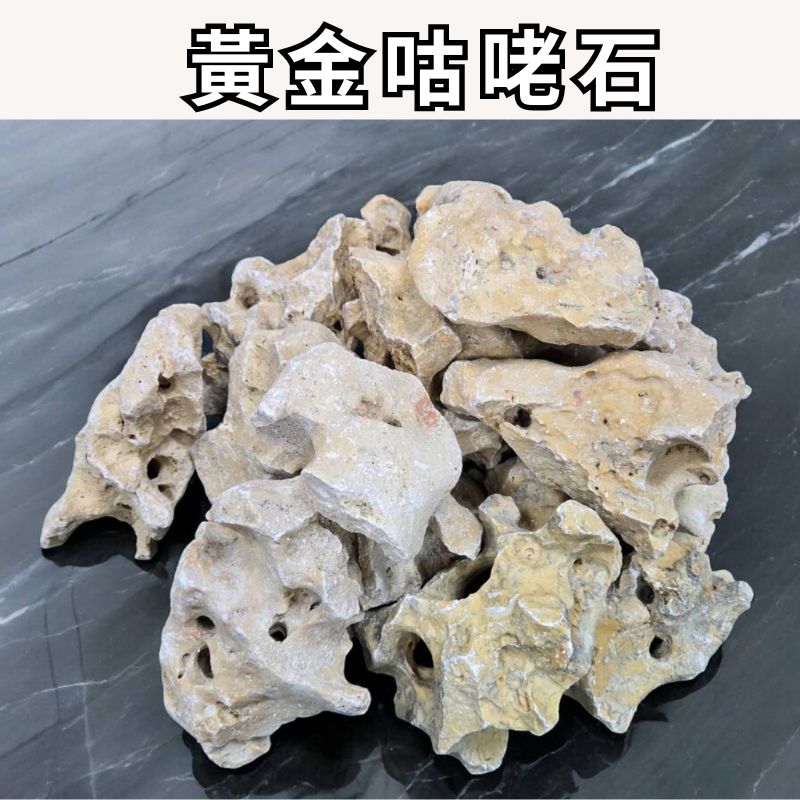 石意景觀石材】黃金咕咾石4公斤✨水族首選✨ 石頭石原石天然石天然洞石