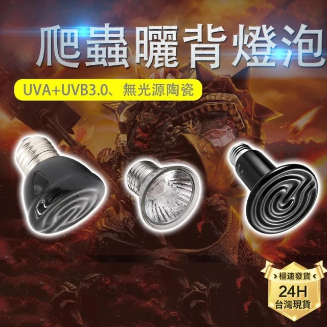 龜室｜爬蟲加熱燈泡 陸龜曬背燈 兩棲 UVA UVB 保暖 烏龜 兩棲 澤龜 鳥用 燈具 陸龜 水龜陶瓷蜥蜴