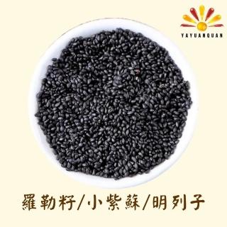 【亞源泉】羅勒籽 /小紫蘇/明列子 量批發（1公斤/5公斤/10公斤）