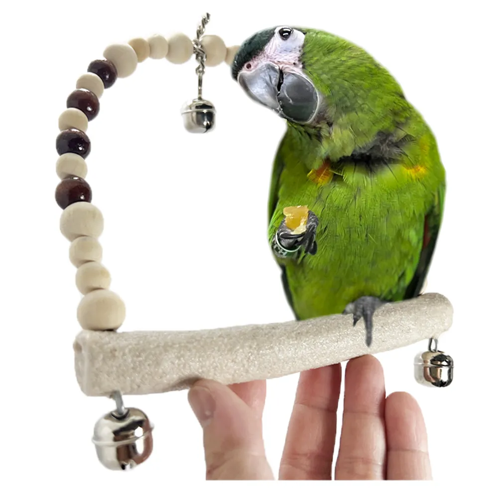 鸚鵡鞦韆平台,悠悠兩棲爬蟲特寵店【兩棲爬蟲/鸚鵡特寵/器材設備】 - momo購物網- 好評推薦-2026年1月