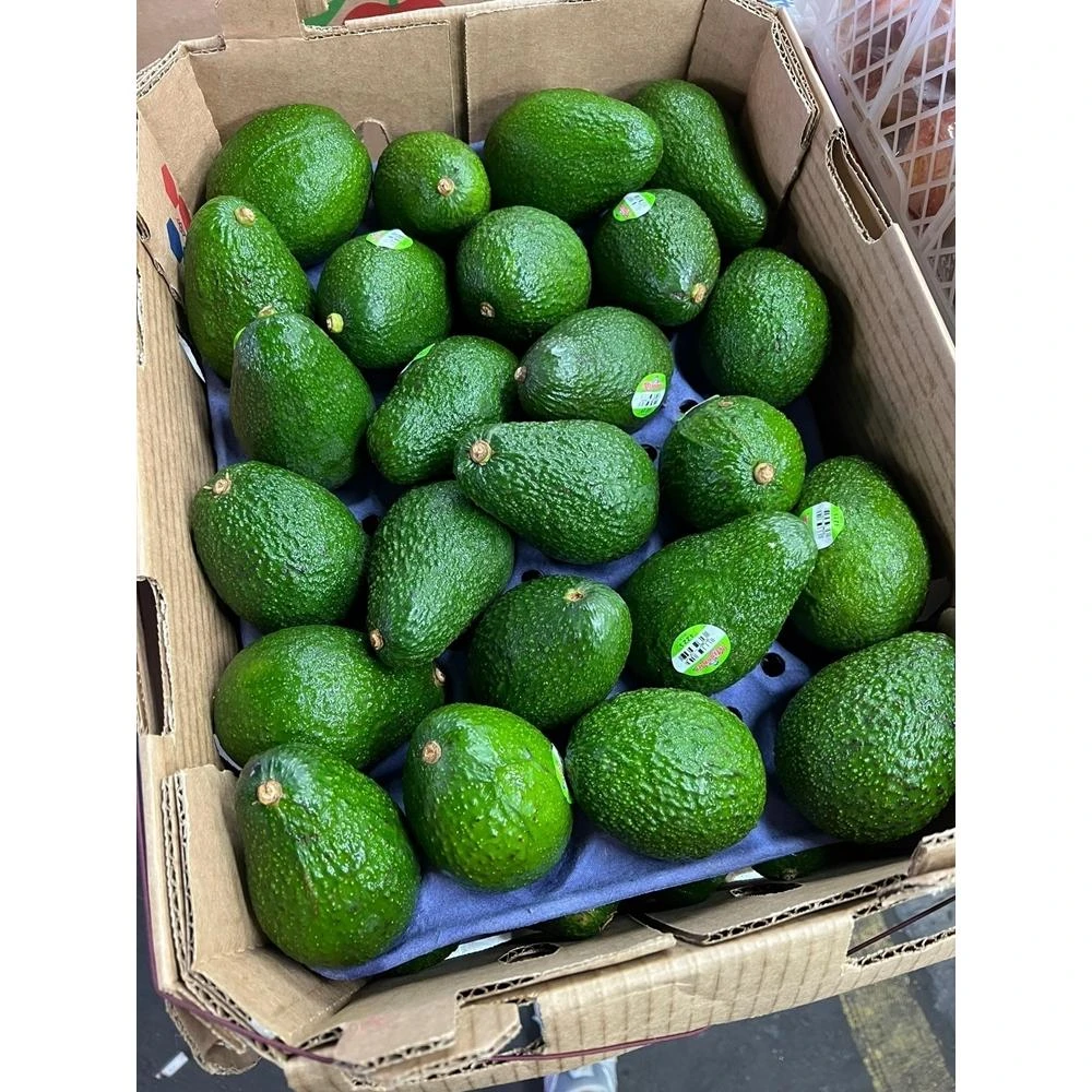 【果之蔬】嚴選美國新鮮酪梨(每顆200g±10%) 0運費 美國酪梨 進口酪梨 酪梨牛奶