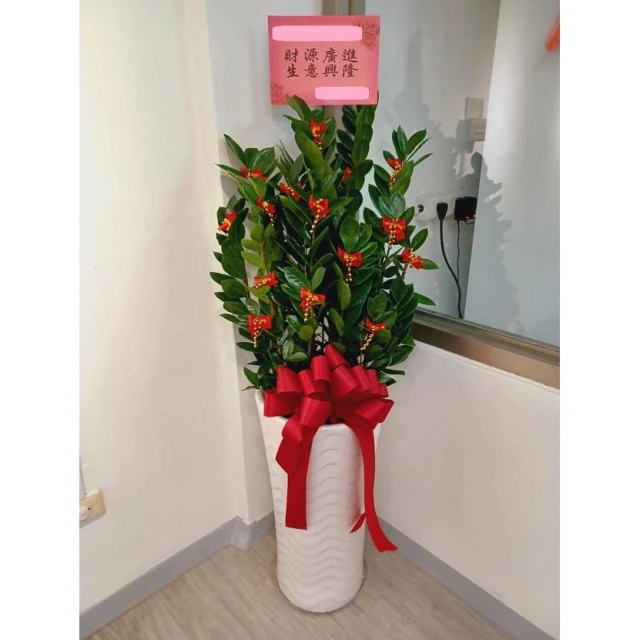 {宇璐花卉} 金錢樹組合盆栽/開幕開市/榮升榮調/喬遷/會員大會/競選總部成立/