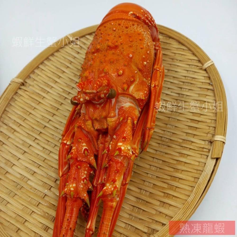 龍蝦圖 14,365 龍蝦Stock Photos, High-Res Pictures, and Images