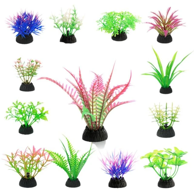 【Ray Ray 士林瑞瑞】4-8cm 迷你水草(48種)