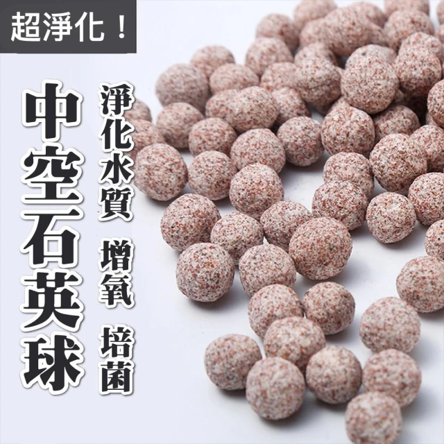 【Ray Ray 士林瑞瑞】中空石英球 培菌球  魚缸水族濾材 硝化濾材