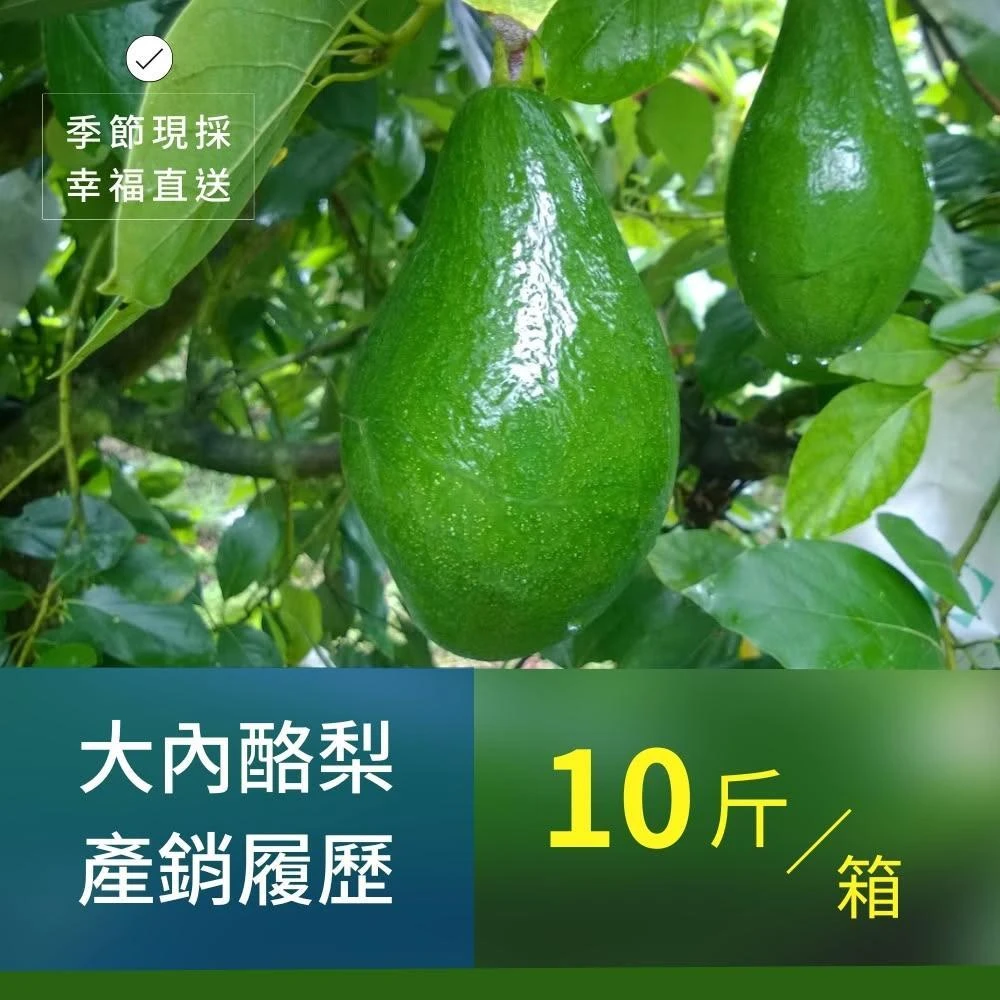 樂咖田庄農場 酪梨10斤/箱（轉色_依產出月份品種）