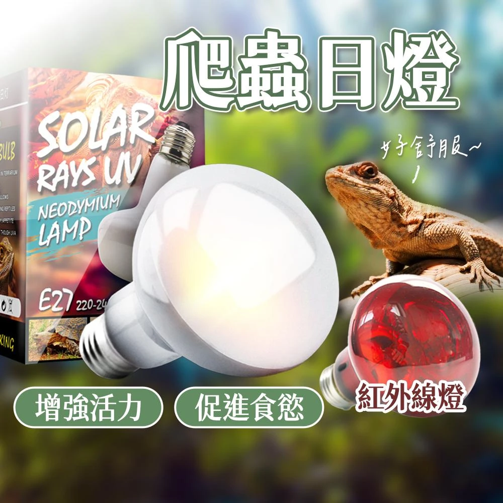 NOMO 爬蟲日燈 爬蟲夜燈 遠紅外線燈 烏龜 保溫燈 爬蟲加溫燈 加熱燈 加溫燈 爬蟲加熱燈 爬蟲 熊貓購物 