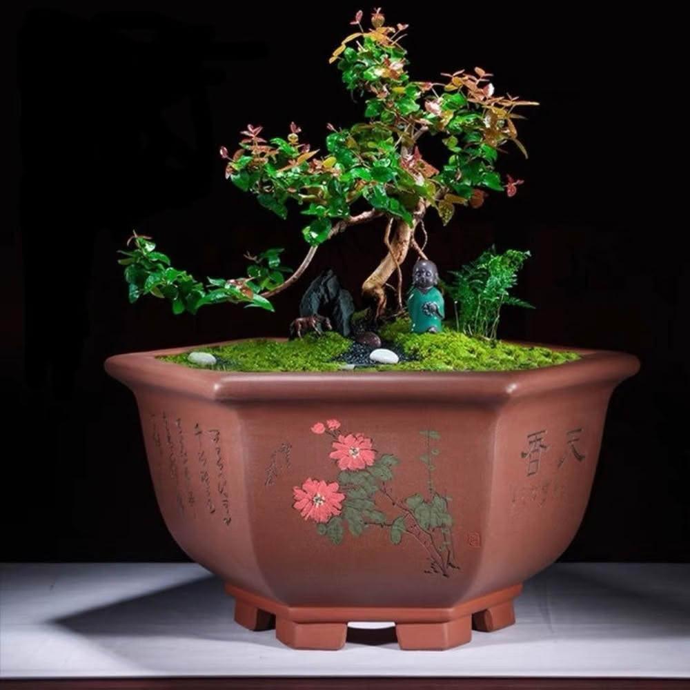 宜興紫砂鉢 多肉菖蒲蘭鉢 大盆栽 小盆栽 宜興紫砂花盆小號紫泥盆景盆馬槽四方菖蒲多肉盆栽花盆清倉特價