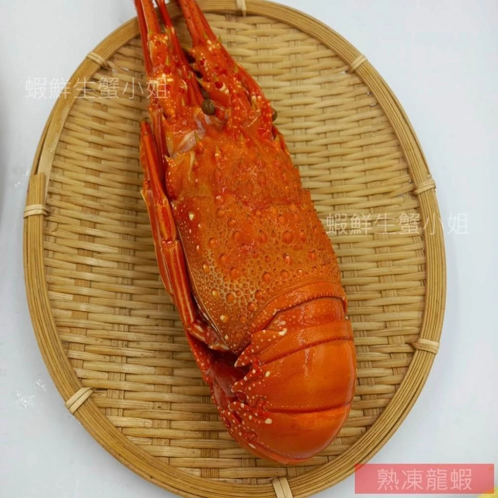 蝦鮮生蟹小姐】熟凍大龍蝦400-450g/隻