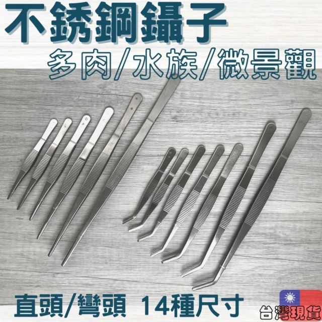 沐晨植物園｜多肉鑷子 多肉工具 不銹鋼鑷子 多肉植物  園藝工具 鑷子 微景觀工具 魚缸水草鑷子 魚缸工具
