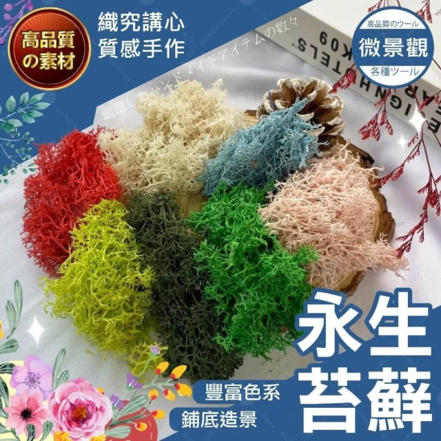 【織心手作】頂級嚴選 永生花苔癬 永生苔蘚 青苔 苔癬 微景觀  永生花 鋪底用苔草 假山造景 moss馴鹿草 乾燥花 永生