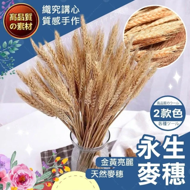【織心手作】麥穗乾燥花 乾燥花材 麥穗 大麥 乾燥花 乾燥花束 花圈材料 花圈 春節掛飾 過年吊飾 新年掛飾