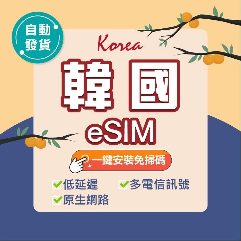 【環亞電訊】韓國eSIM｜附贈門號 24H自動發貨五分鐘取件 首爾 釜山 韓國網卡 韓國esim卡 esim韓國 吃到飽