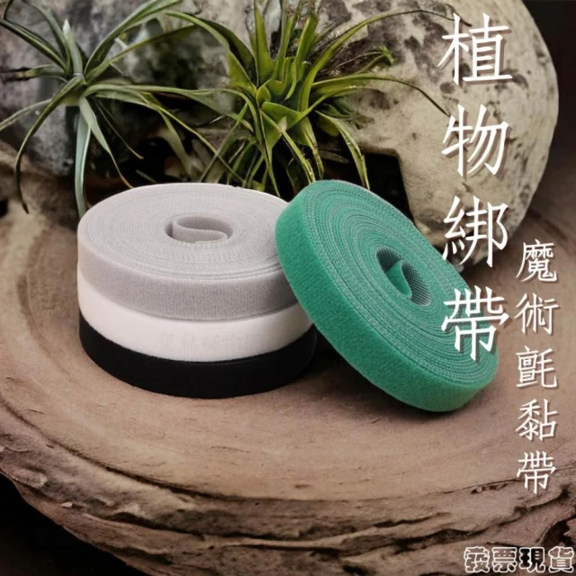 沐晨植物園｜植物束帶 植物綁帶 束線帶 魔鬼氈束帶 植物固定 園藝綁帶 園藝魔帶 園藝工具 整線器 充電線整理帶
