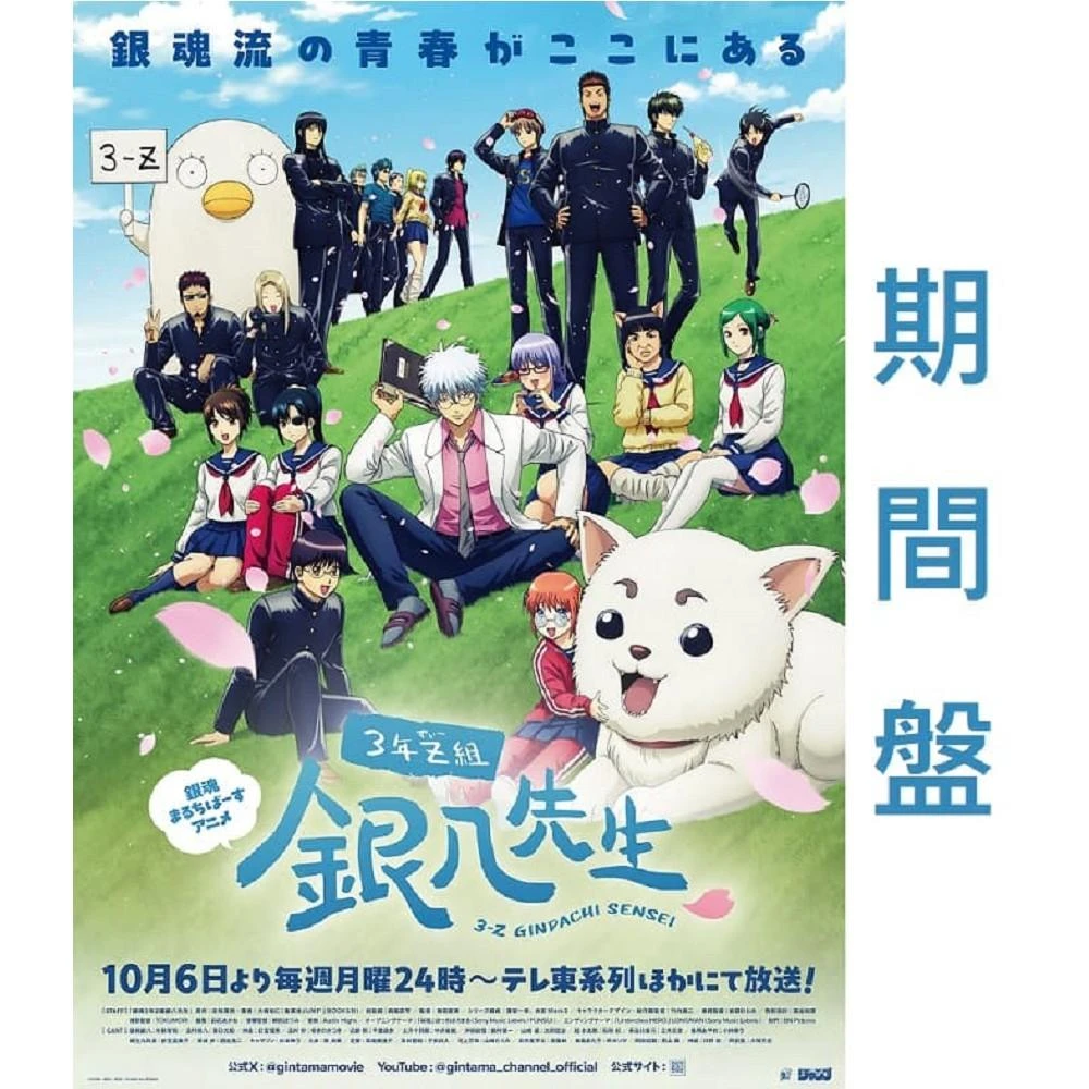 日版銀魂3年Z班銀八老師OP「桜風」ぼっちぼろまる完全盤