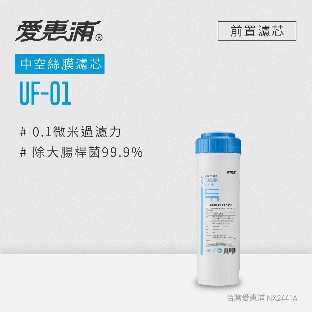 【EVERPURE 愛惠浦】UF01 10英吋中空絲膜濾芯（耗材）