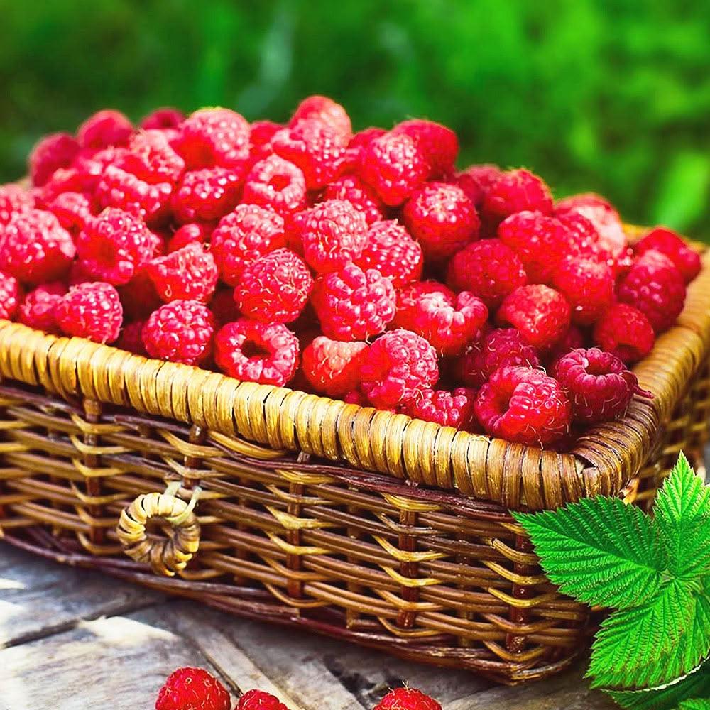 【大江生鮮】冷凍覆盆莓 (130g/盒、250g/盒) 每批都經過SGS檢驗 桑葚/水果/蔓越莓/藍莓/莓果/櫻桃/黑莓/覆盆莓/覆盆子 年菜/年菜組