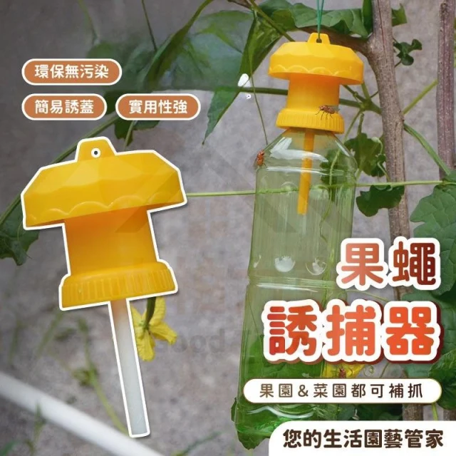 《小柏力克》含發票 果  蠅  誘  捕  器   果  蠅   捕  捉   果  園   果  蠅  捕  捉  器