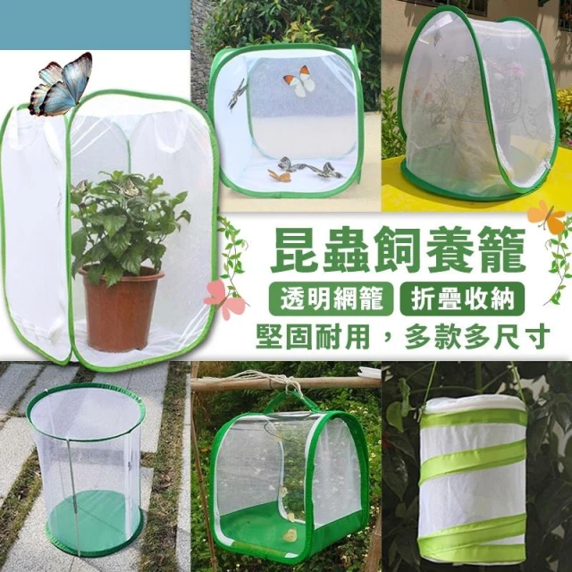 昆蟲飼養箱 昆蟲觀察盒 昆蟲箱 昆蟲盒 竹節蟲 毛毛蟲 昆蟲網籠 蝴蝶 獨角仙 葉脩 螳螂 鍬形蟲