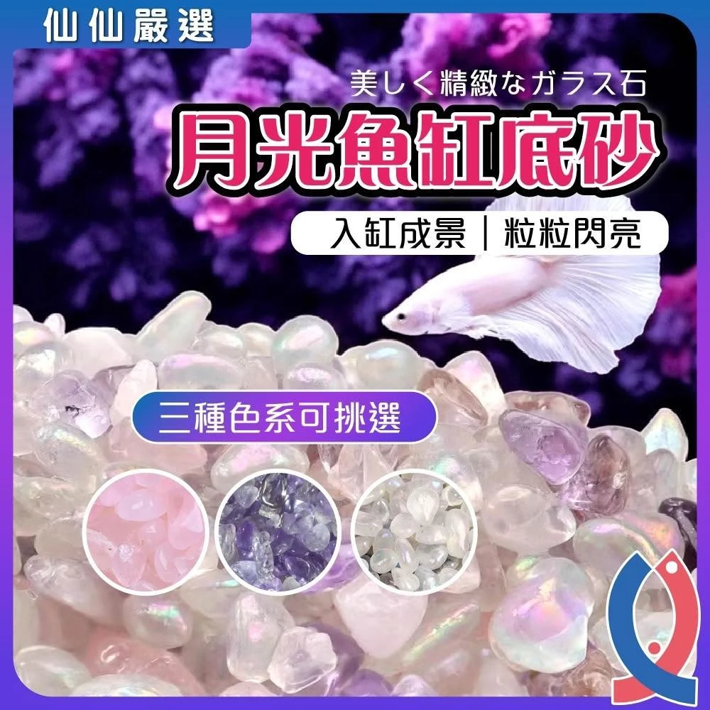 【Ray Ray 士林瑞瑞】魚缸底砂 100g 魚缸石 魚缸砂 月光石 底砂 底沙 底石 魚缸 造景 彩石 水晶 好運石 石頭裝飾