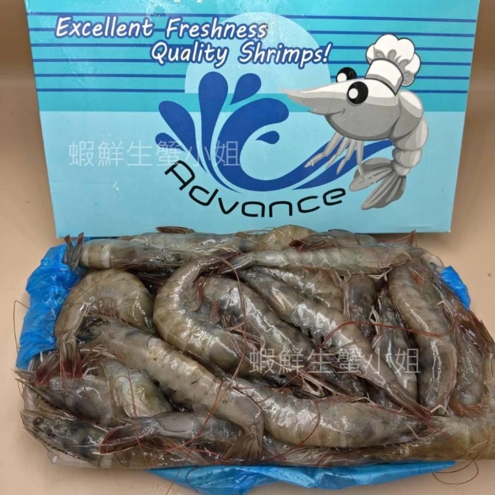 【蝦鮮生蟹小姐】生凍白蝦40/50 -  1.05kg/盒