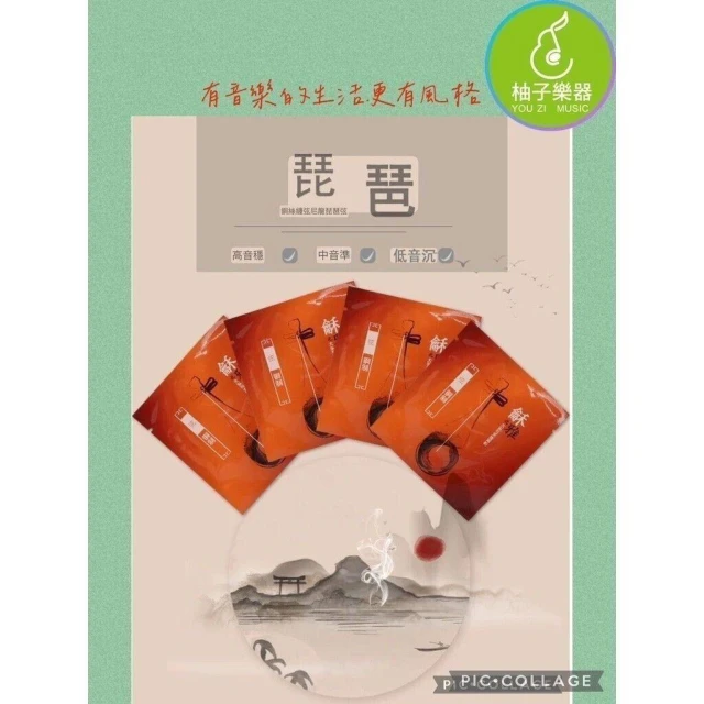 北京星海 龢雅琵琶弦 琵琶線 琵琶（一組4根） 國樂配件天堂|柚子樂器