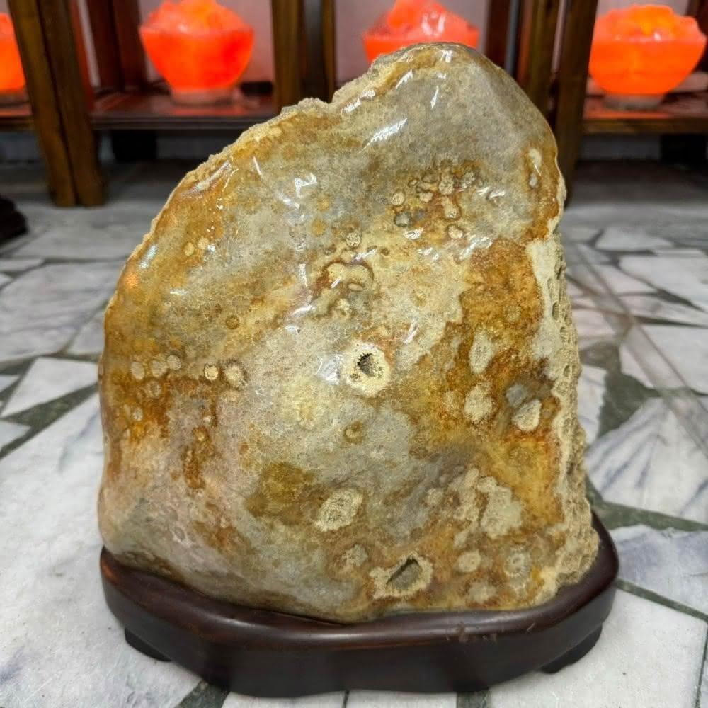 千奇國際精品】天然菊花石（珊瑚石）擺件19.15kg♥️