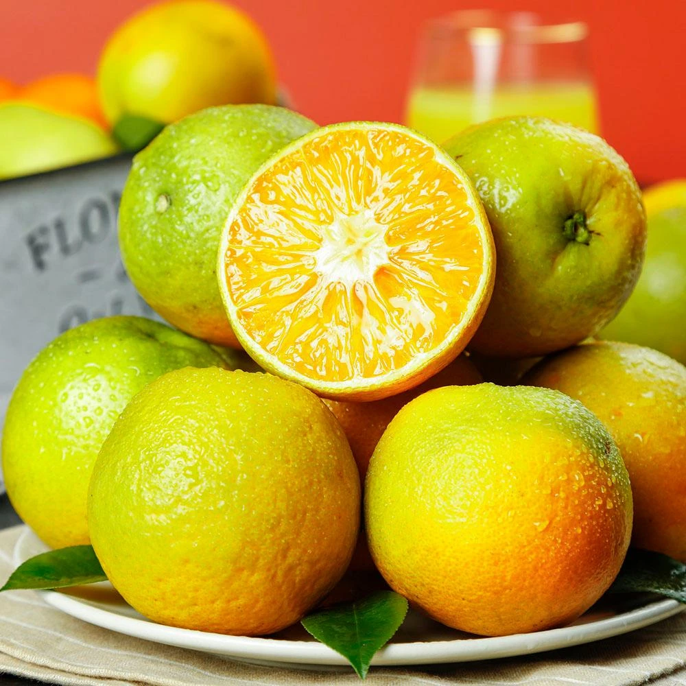 【初品果】雲林古坑老欉香甜柳丁禮盒4斤