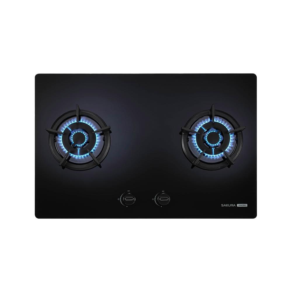 SAKURA櫻花 二口大面板易清檯面爐 G2623BG(NG1)