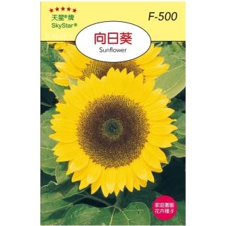 天橙種子】向日葵種子F-500 花卉類種子3~10月播種天星牌穗耕種苗家庭