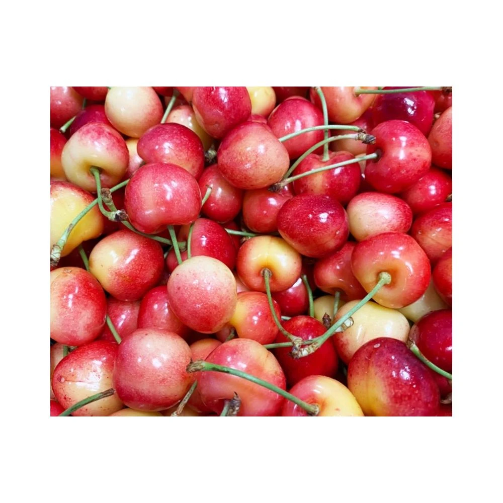 【莎莉嚴選】智利空運白櫻桃Rainier   3J   2kg / 原裝