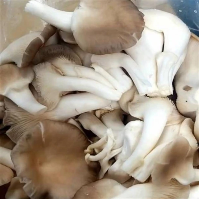 【大叔嚴選】秀珍菇 約300g±10%