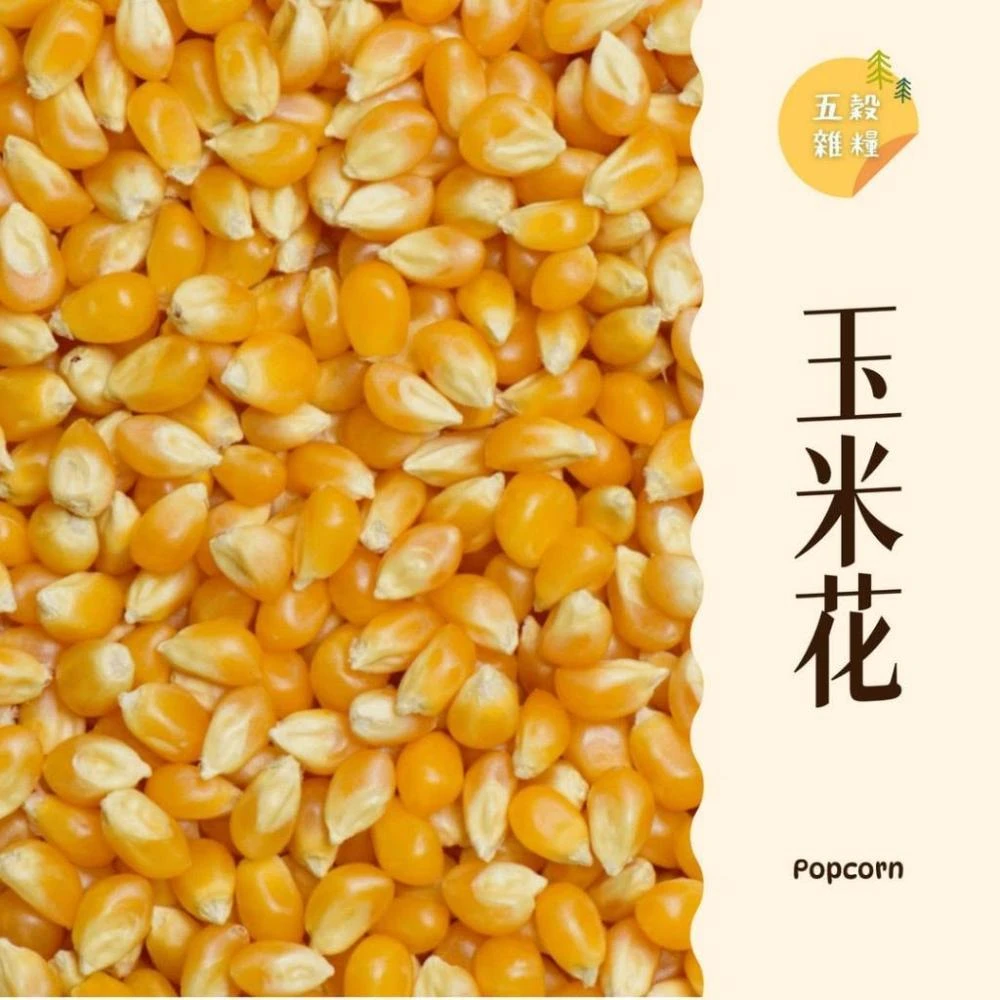 ｜大台南五穀糧倉｜600g 1斤 爆玉米花 玉米粒 玉米 蝴蝶形 爆米花專用 乾玉米 干玉米花 五穀雜糧