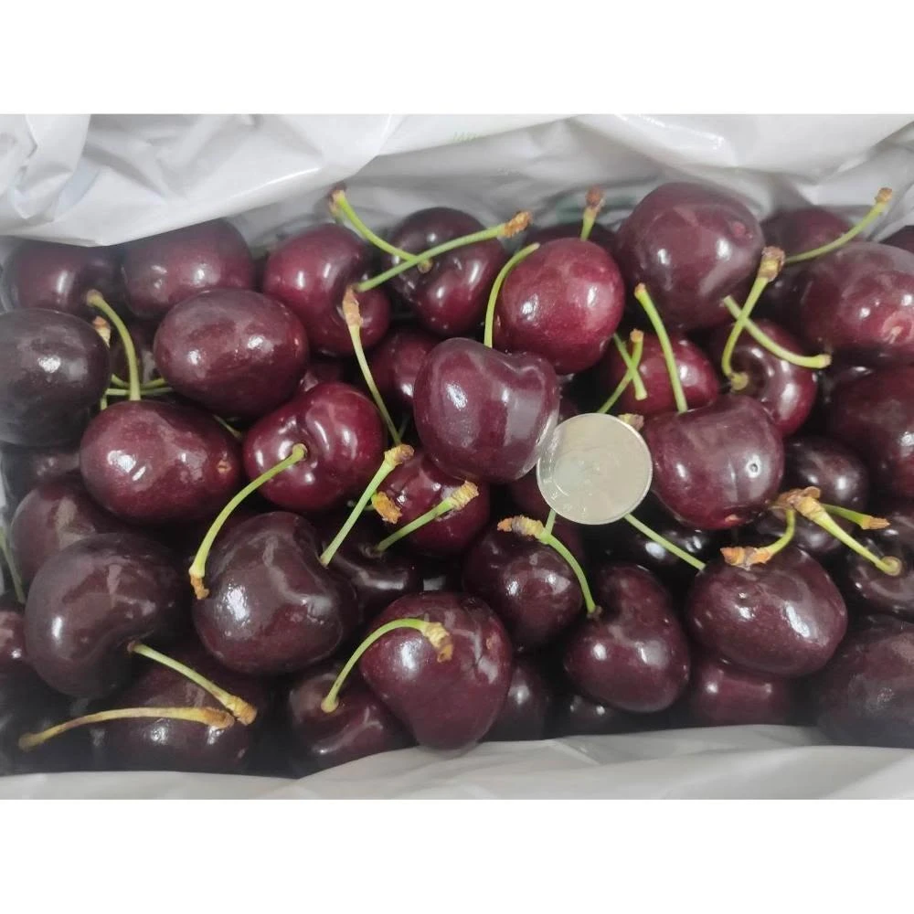 【莎莉嚴選】智利櫻桃 3JD / 2.5kg/箱 