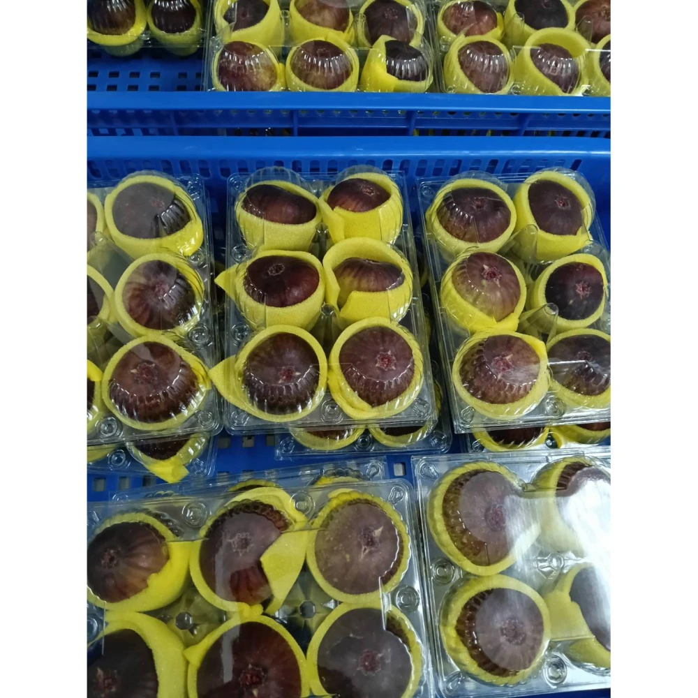 【莎莉嚴選】無花果 ( 6顆/盒)  無毒耕種-波姬紅無花果 台灣