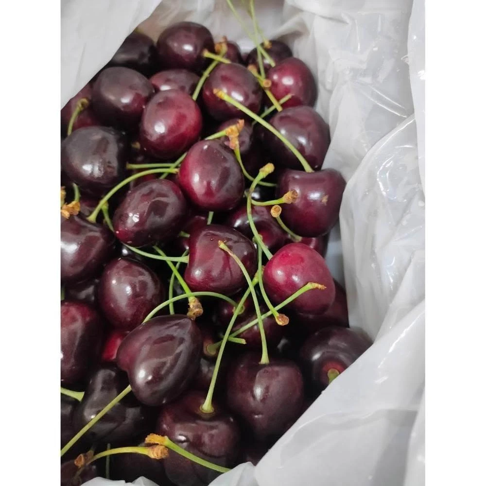 【莎莉嚴選】澳洲 塔斯馬尼亞櫻桃Tasmania Premium Cherries    30mm / 2kg/箱 