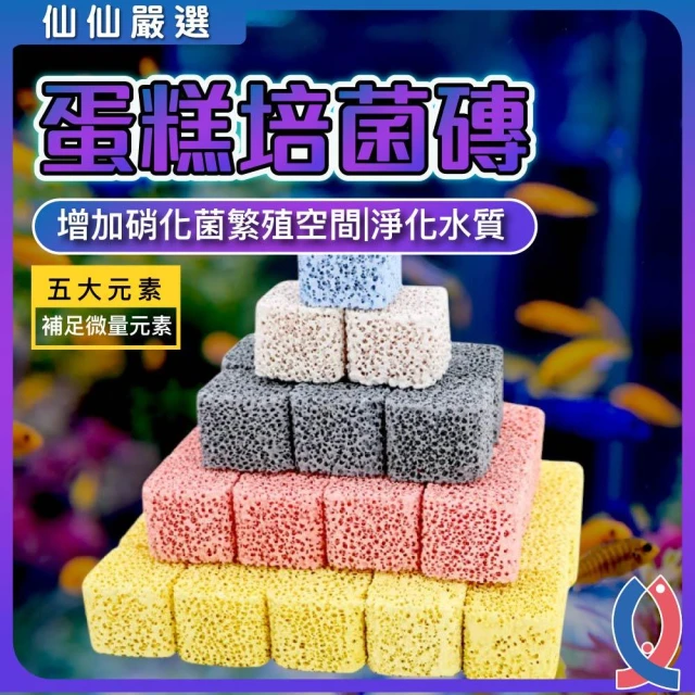 【Ray Ray 士林瑞瑞】蛋糕濾材 培菌磚 硝化菌屋 水族過濾 濾材推薦 培菌魔方 魚缸淨水 遠紅外線濾材 奈米磚 上部滴流盒 圓桶濾材 負離子濾
