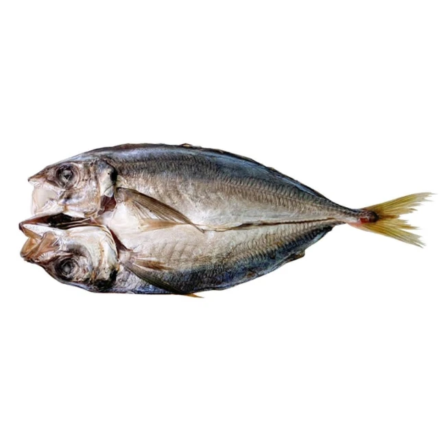【魚大俠】小規格-竹筴魚一夜干(170~200g/尾)#L-1D4B 魚大俠 FH320