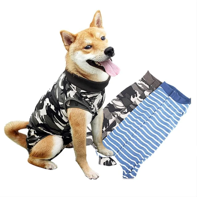 【LIKE PET】狗狗款 寵物絕育衣 (狗狗絕育衣 貓咪絕育衣 結紮衣服 術後衣服 寵物防舔衣)