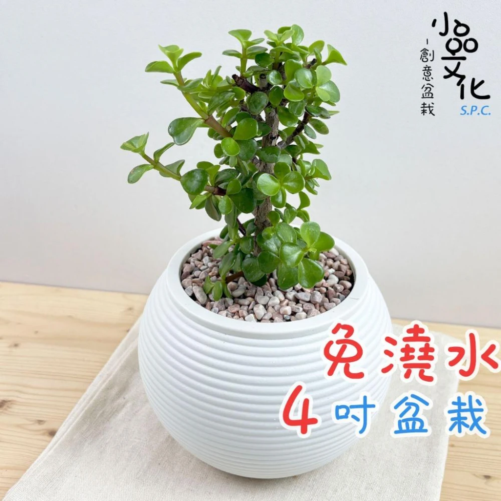 TP00075820000064_O.webp