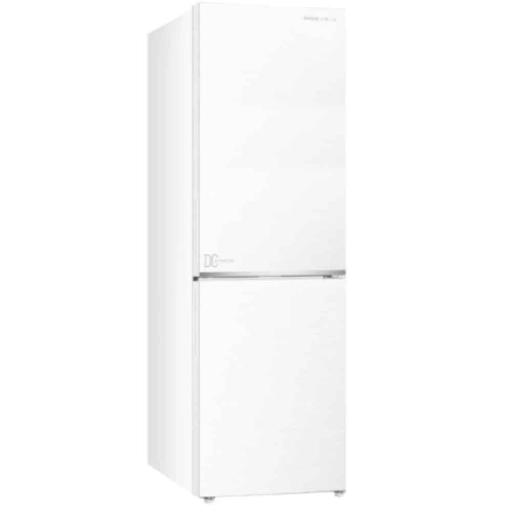 Sanlux 台灣三洋 SR-V250BF
