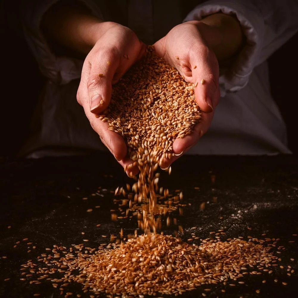 【Winseed 溫室好食道】溫室好食道 頂級冷壓初榨亞麻仁油 250ml 54%Omega3 可生飲 堅果油 冷壓油 高品質食用油/ 金亞麻仁籽