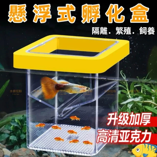 水族魚缸 懸浮式孵化盒 懸浮式隔離盒 自浮式飼育盒 繁殖盒 產子盒  產卵盒 孔雀魚 仔魚 幼魚 鬥魚 小魚產房