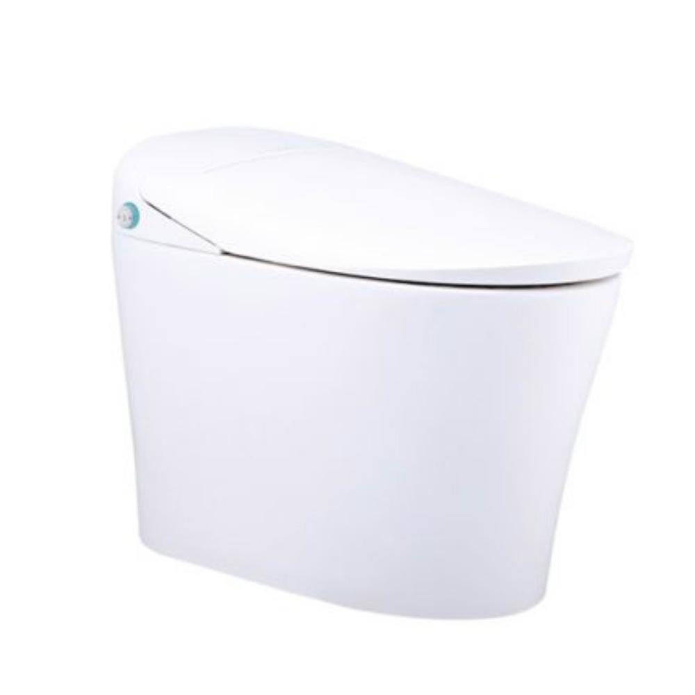 CAESAR凱撒衛浴 CA1384S 是一款高階一段式智慧馬桶，採用瞬熱式加熱技術，提供舒適溫水體驗。尺寸為 W40 x D65.5 x H49 cm（座高39.5 cm），電壓110V，產地臺灣，BSMI許可字號 T31465。適合現代居家使用，兼具便利與衛生，提升生活品質。