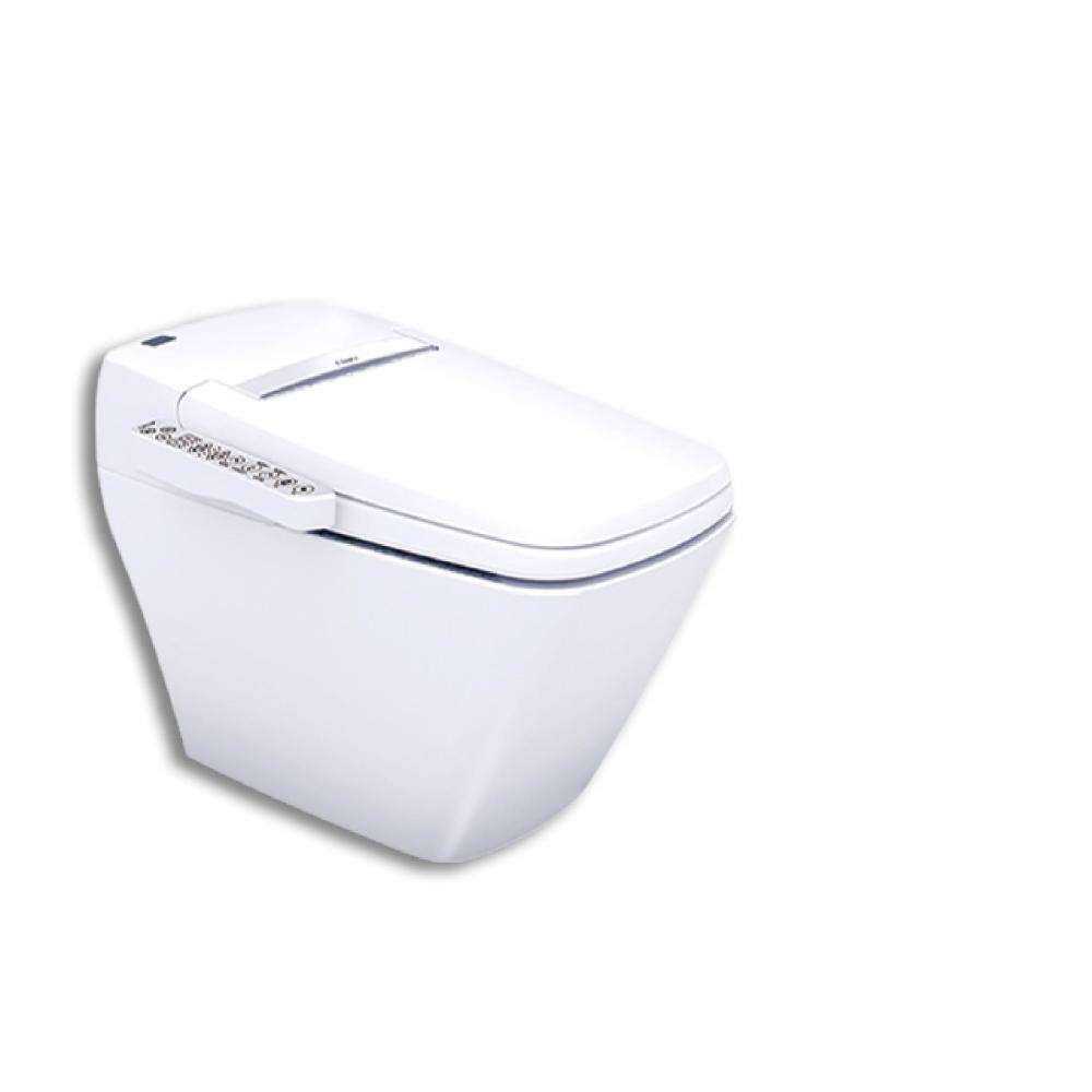 CAESAR凱撒衛浴 CA1381 二段式智慧馬桶，採用儲熱式加熱方式，提供舒適溫水清洗體驗。尺寸為 W46 x D72 x H52.5 cm（座高38 cm），臺灣原廠製造，電壓110V，材質與承載重量依原廠規格。內建BSMI許可字號 T31465，安全可靠，適合現代衛浴空間，提升生活品質。