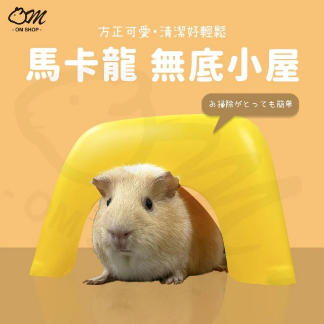 【簡單可愛又實用】無底小屋 天竺鼠屋 天竺鼠窩 椅子 板凳 天竺鼠 遮蔽 無底屋 木屋 小寵 龍貓 刺蝟 天竺鼠房子