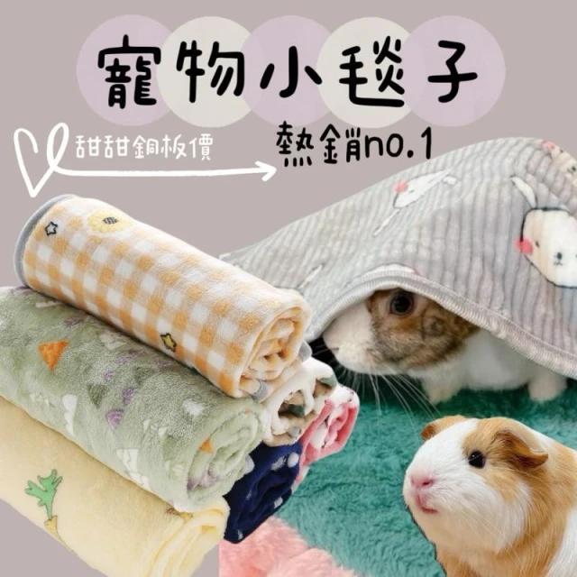 哈密兔事·寵物小毯子｜13款可選·珊瑚絨蓋毯 兔子棉被 天竺鼠保暖 龍貓毛毯 寵物被子 小寵蓋毯毯子兔棉被保暖必備兔用品