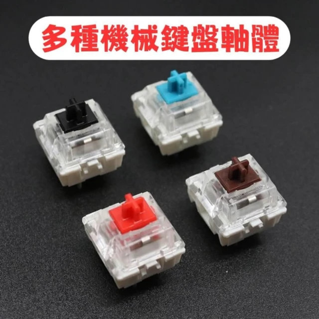 機械聲音 鍵盤軸體 軸體 熱插拔  軸心 客製化 高特 青軸 黑軸 紅軸 茶軸 綠軸 紫軸 橙軸 銀軸 軸體